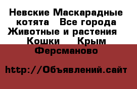 Невские Маскарадные котята - Все города Животные и растения » Кошки   . Крым,Ферсманово